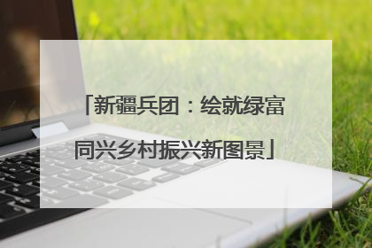 新疆兵团：绘就绿富同兴乡村振兴新图景