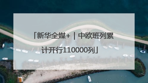 新华全媒+｜中欧班列累计开行110000列