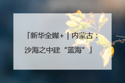 新华全媒+｜内蒙古：沙海之中建“蓝海”