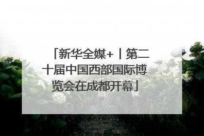 新华全媒+丨第二十届中国西部国际博览会在成都开幕