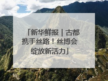 新华鲜报｜古都携手丝路！丝博会绽放新活力