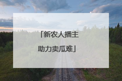 新农人播主 助力卖瓜难