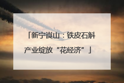 新宁崀山：铁皮石斛产业绽放“花经济”