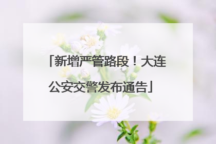新增严管路段！大连公安交警发布通告