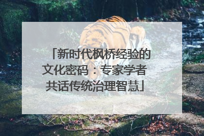 新时代枫桥经验的文化密码：专家学者共话传统治理智慧