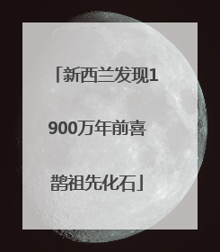 新西兰发现1900万年前喜鹊祖先化石