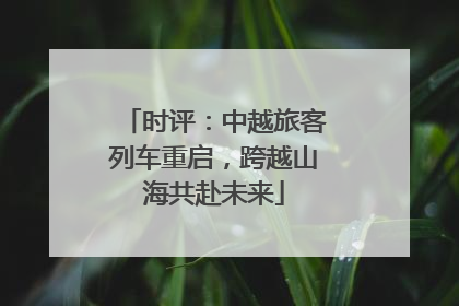 时评：中越旅客列车重启，跨越山海共赴未来