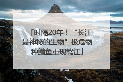 时隔20年！“长江最神秘的生物”极危物种鳤鱼重现赣江
