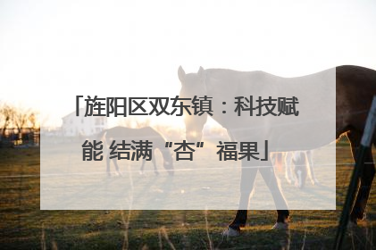 旌阳区双东镇：科技赋能 结满“杏”福果