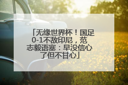 无缘世界杯！国足0-1不敌印尼，范志毅语塞：早没信心了但不甘心
