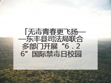 无毒青春更飞扬——东丰县司法局联合多部门开展“6．26”国际禁毒日校园宣讲活动