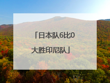 日本队6比0大胜印尼队