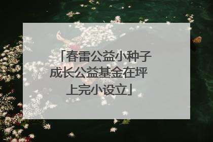 春雷公益小种子成长公益基金在坪上完小设立
