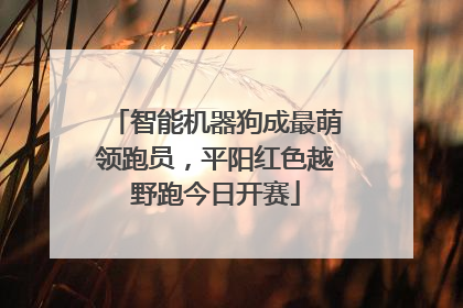 智能机器狗成最萌领跑员，平阳红色越野跑今日开赛
