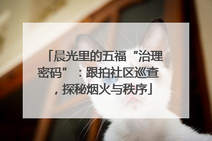 晨光里的五福“治理密码”：跟拍社区巡查，探秘烟火与秩序