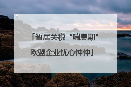 暂居关税“喘息期” 欧盟企业忧心忡忡