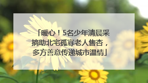 暖心！5名少年清晨采摘助北宅孤寡老人售杏，多方善意传递城市温情