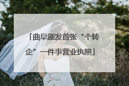 曲阜颁发首张“个转企”一件事营业执照