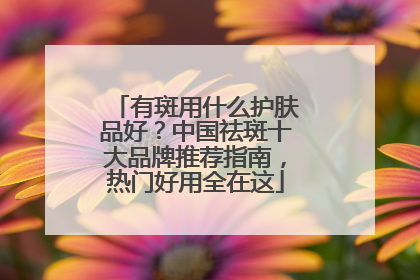 有斑用什么护肤品好？中国祛斑十大品牌推荐指南，热门好用全在这