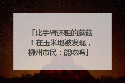比手臂还粗的蘑菇！在玉米地被发现，柳州市民：能吃吗