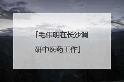 毛伟明在长沙调研中医药工作