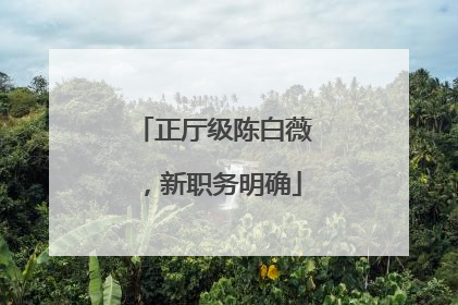 正厅级陈白薇，新职务明确