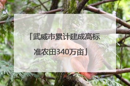 武威市累计建成高标准农田340万亩