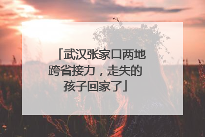 武汉张家口两地跨省接力，走失的孩子回家了