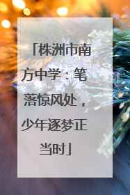 株洲市南方中学：笔落惊风处，少年逐梦正当时