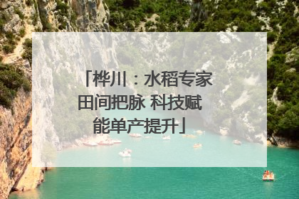 桦川：水稻专家田间把脉 科技赋能单产提升