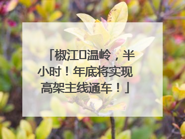 椒江⇌温岭，半小时！年底将实现高架主线通车！