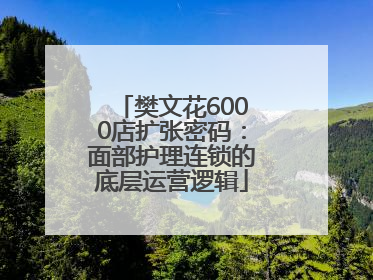 樊文花6000店扩张密码：面部护理连锁的底层运营逻辑