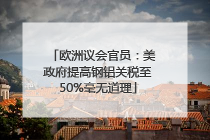 欧洲议会官员：美政府提高钢铝关税至50%毫无道理