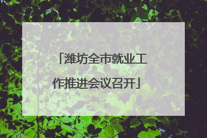 潍坊全市就业工作推进会议召开