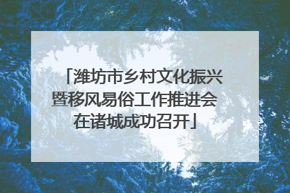 潍坊市乡村文化振兴暨移风易俗工作推进会在诸城成功召开