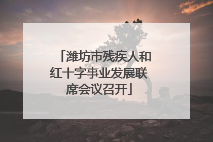 潍坊市残疾人和红十字事业发展联席会议召开