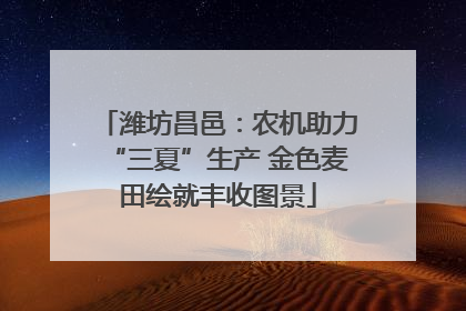 潍坊昌邑：农机助力“三夏”生产 金色麦田绘就丰收图景