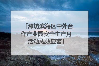 潍坊滨海区中外合作产业园安全生产月活动成效显著