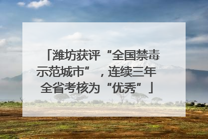 潍坊获评“全国禁毒示范城市”，连续三年全省考核为“优秀”