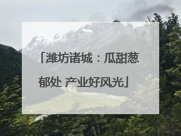 潍坊诸城：瓜甜葱郁处 产业好风光