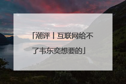 潮评丨互联网给不了韦东奕想要的