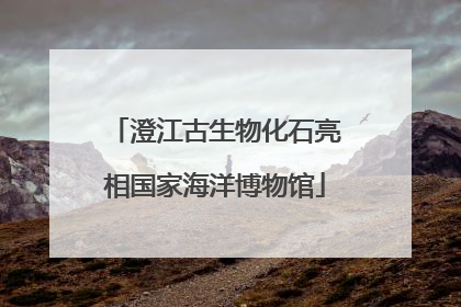 澄江古生物化石亮相国家海洋博物馆