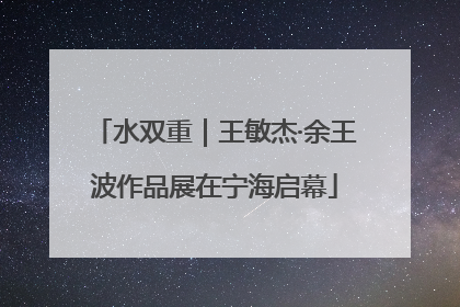 水双重｜王敏杰·余王波作品展在宁海启幕
