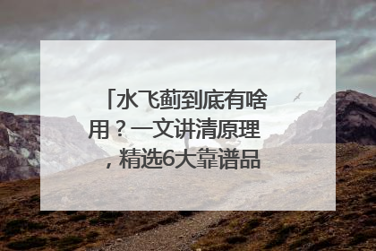 水飞蓟到底有啥用？一文讲清原理，精选6大靠谱品牌助你科学养生