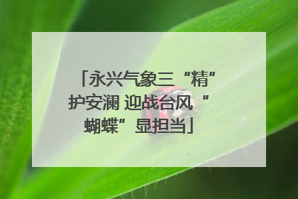 永兴气象三“精”护安澜 迎战台风“蝴蝶”显担当