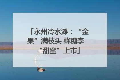 永州冷水滩：“金果”满枝头 蜂糖李“甜蜜”上市