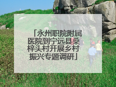 永州职院附属医院到宁远县桑梓头村开展乡村振兴专题调研