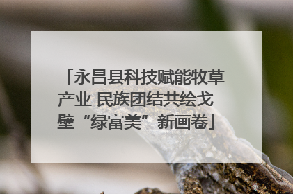 永昌县科技赋能牧草产业 民族团结共绘戈壁“绿富美”新画卷