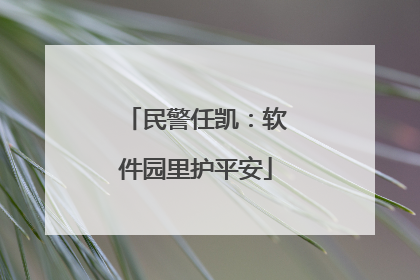 民警任凯：软件园里护平安