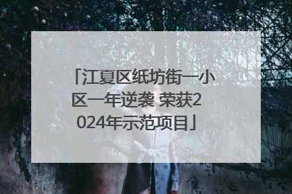 江夏区纸坊街一小区一年逆袭 荣获2024年示范项目